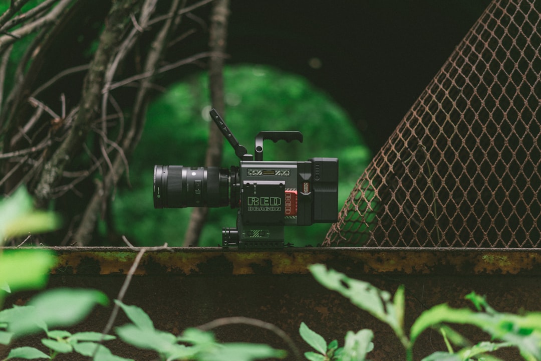 zeitlosfilmproduktion